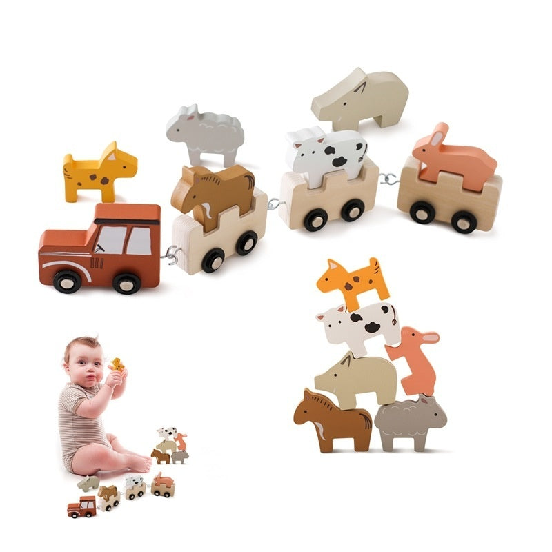 Wooden Educational Train Toy