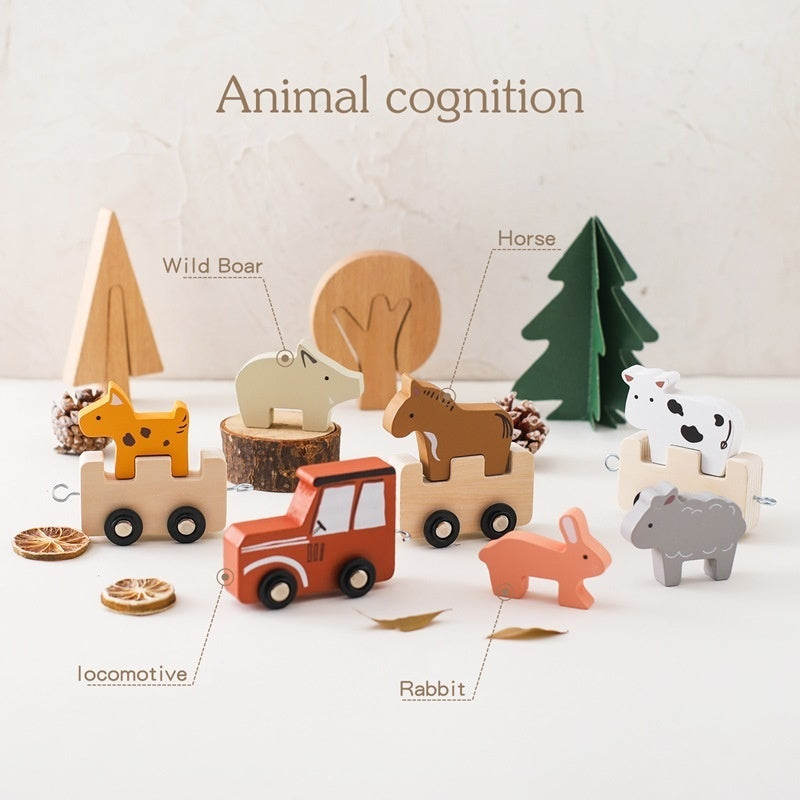 Wooden Educational Train Toy