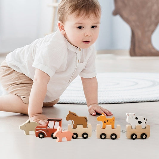 Wooden Educational Train Toy
